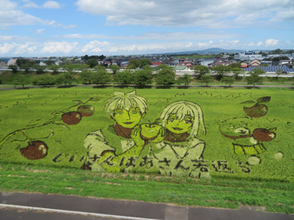 田んぼアート