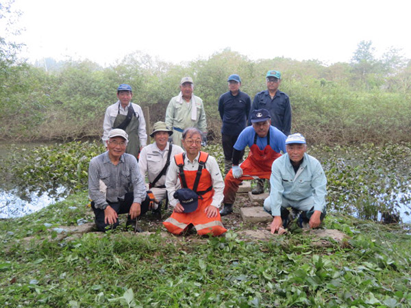 コウホネ群生地草刈り作業