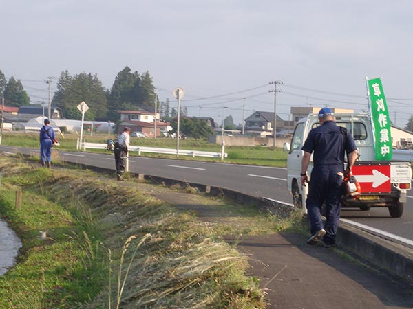 県道草刈り