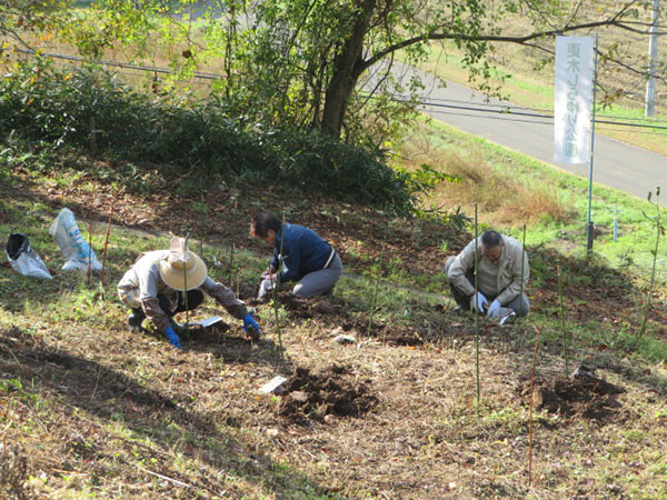 更木しらゆり公園に球根の補植を行いました