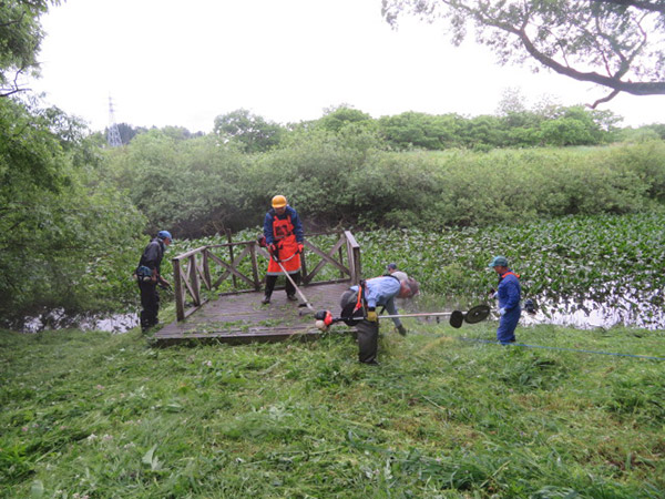 コウホネ群生地への道のりの草刈り