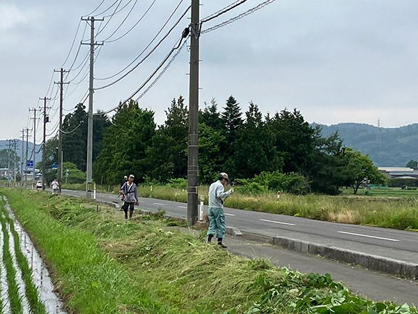 県道草刈り