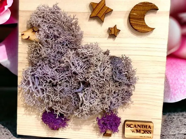 スカンディアモスアート