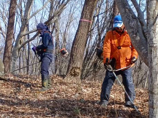 水乞山登山道の整備
