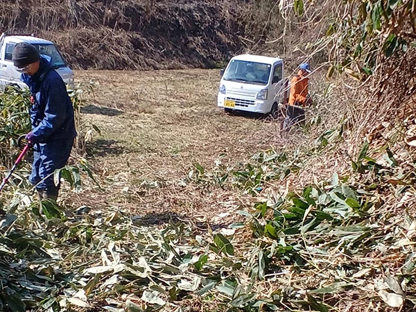 水乞山登山道の整備