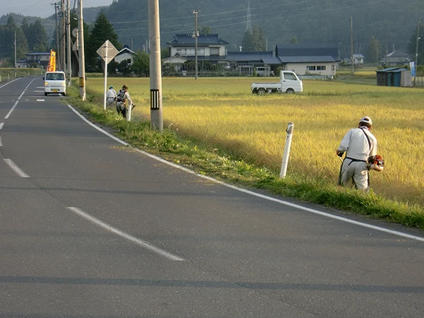 県道草刈り