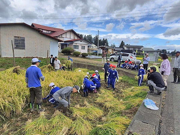 【地域支援】更木小学校稲刈り体験